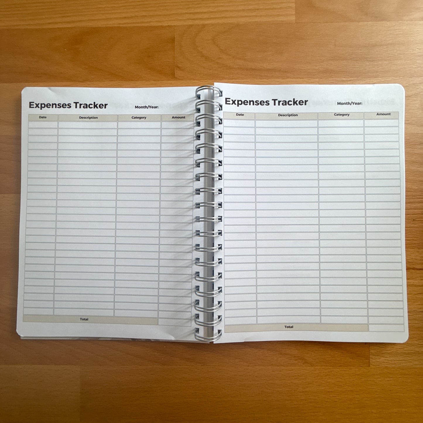 OtterBlotter Budget Planner